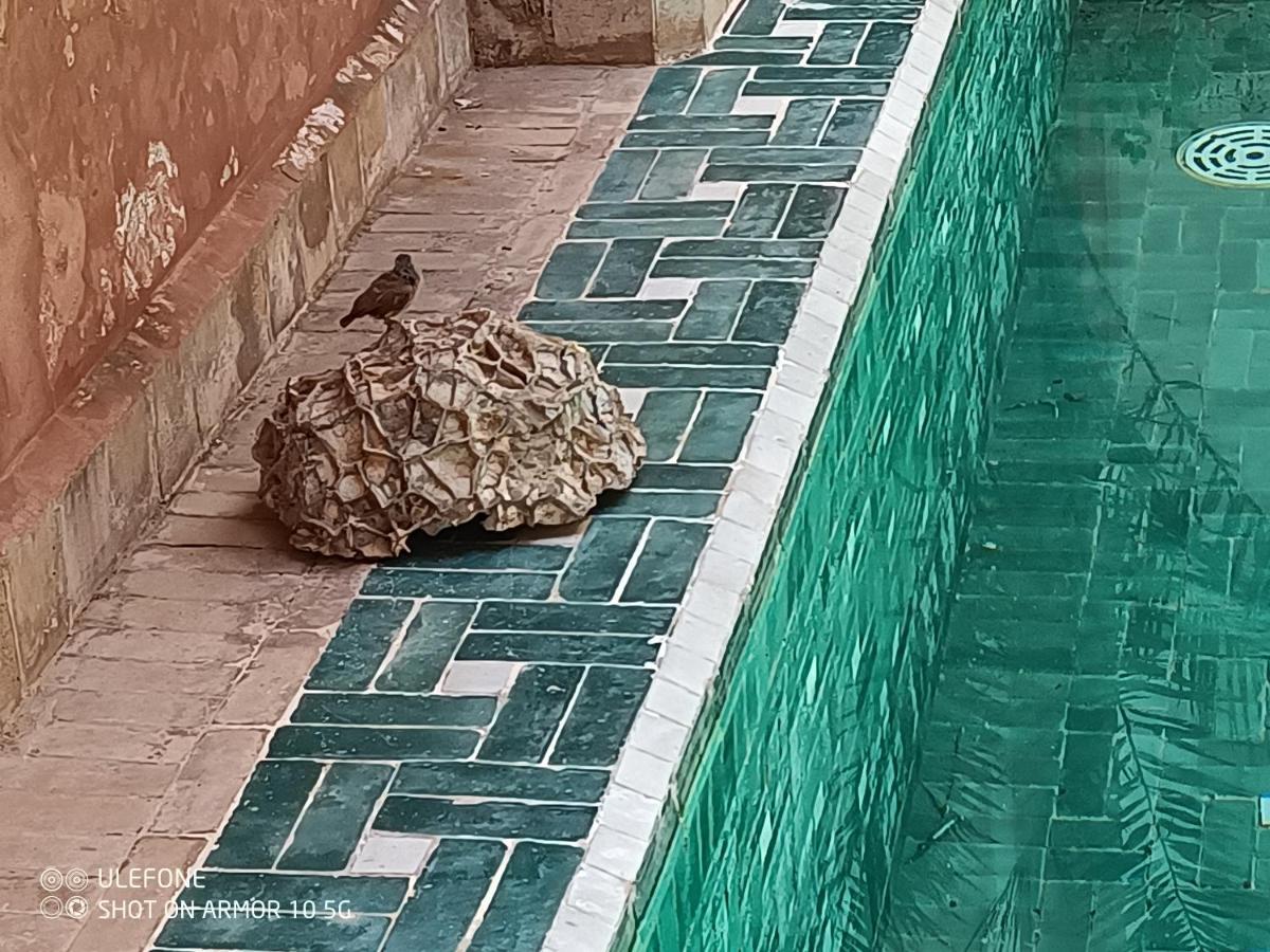 Zagouda Marrakesch