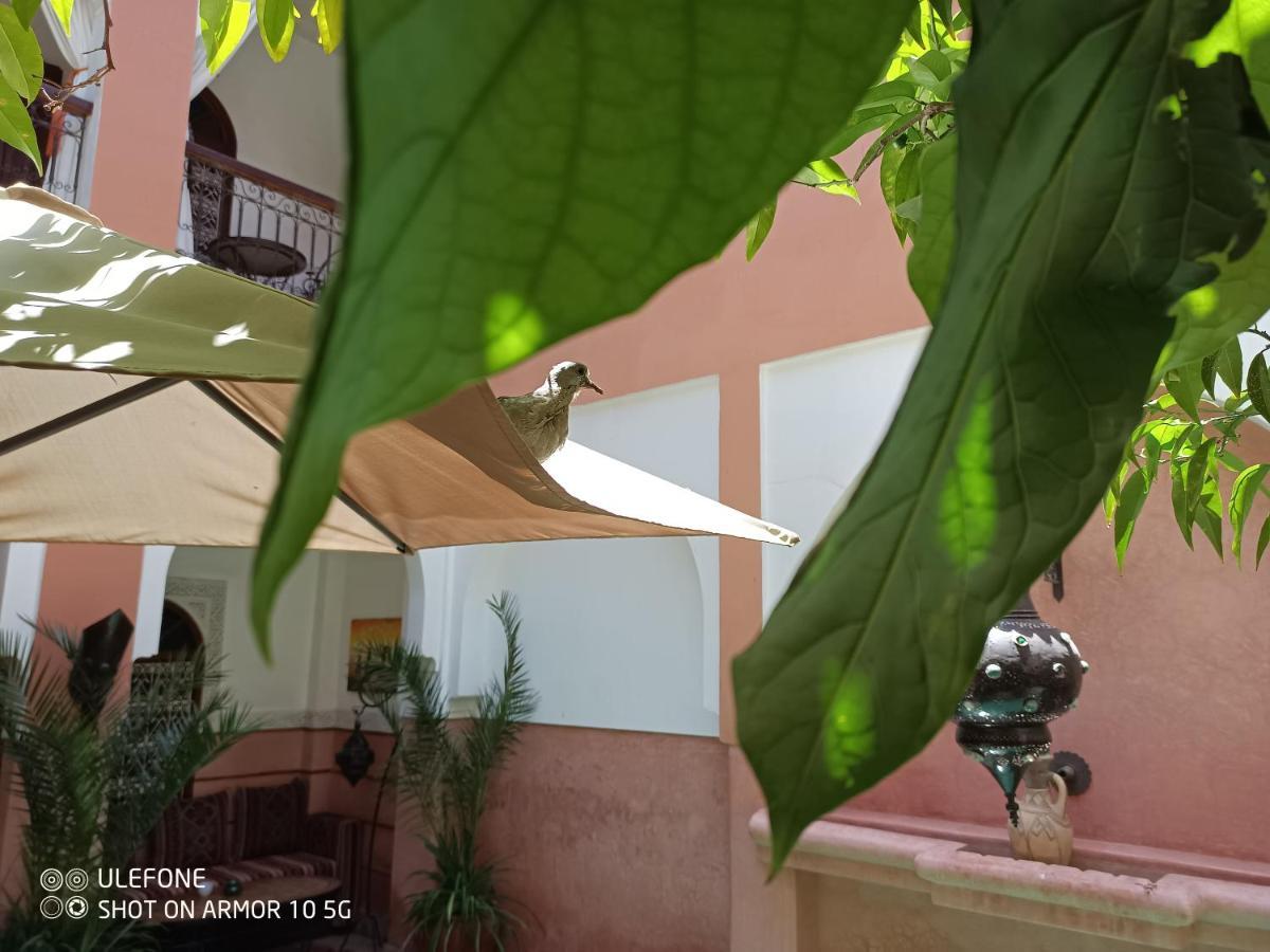 Zagouda 3* Marrakesch
